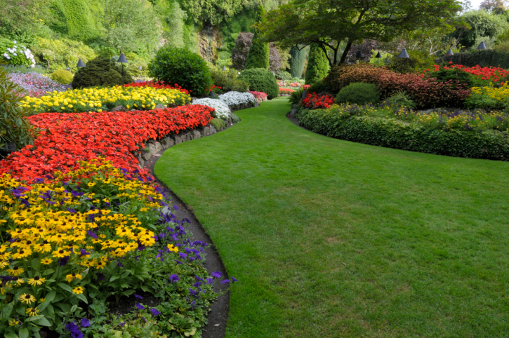 Garden Design