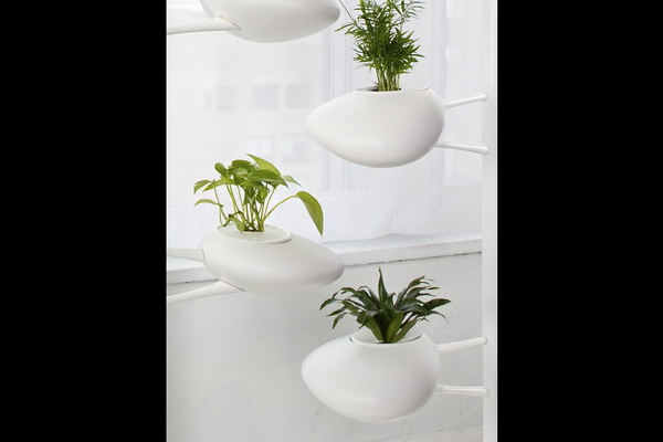 hortikultura.mk_urbana_gradina_za_enterieri_6