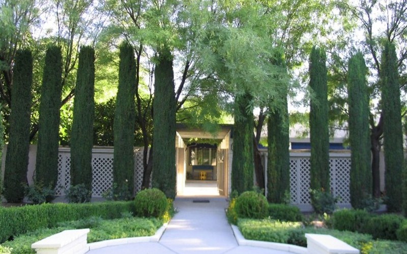 hortikultura.mk_mediteranski_cempres_4