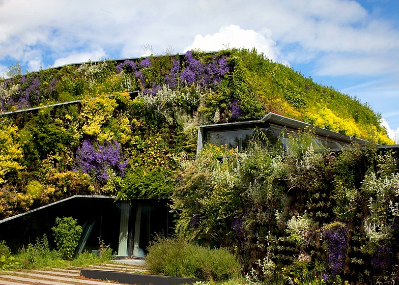 hortikultura.mk_sportplaza_mercator_2