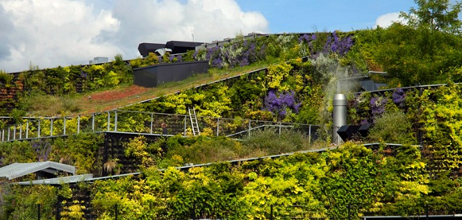 hortikultura.mk_sportplaza_mercator_4