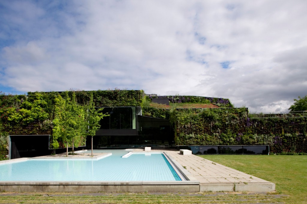 hortikultura.mk_sportplaza_mercator_6