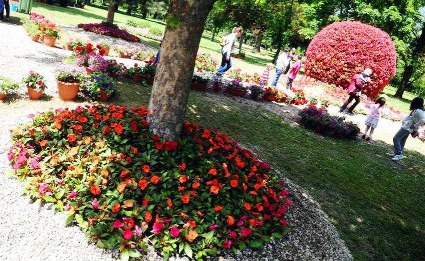 hortikultura.mk_skopski_cveten_festival_2