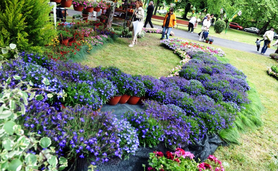 hortikultura.mk_skopski_cveten_festival_5