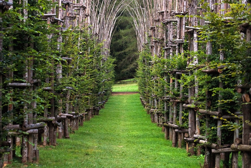 hortikultura.mk_zelena_katedrala_5