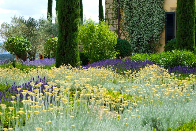 hortikultura.mk_stin_vila_toskana_7
