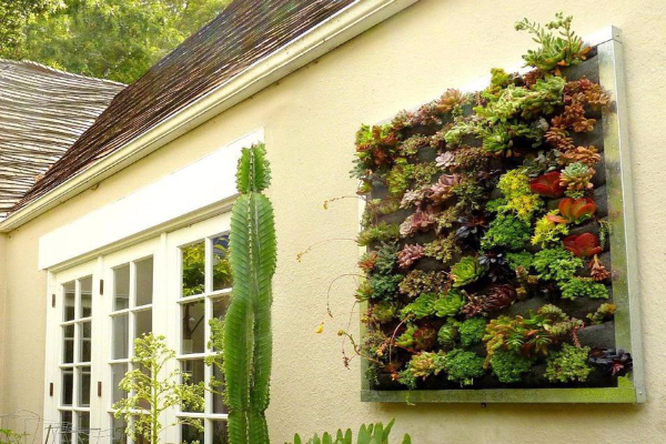 hortikultura.mk_sovrsen_balkon_10