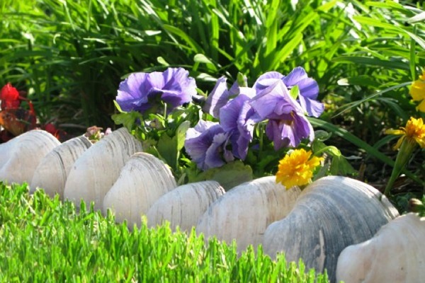 hortikultura-mk_rabnici_8