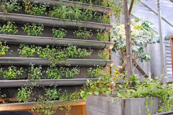 hortikultura-mk_vertikalna-gradina_11