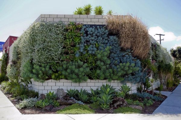 hortikultura-mk_vertikalna-gradina_12
