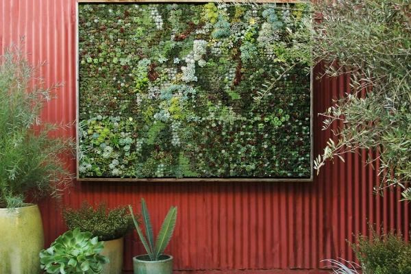 hortikultura-mk_vertikalna-gradina_2