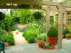 hortikultura.mk_rastenija za mediteranski gradini_5