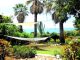hortikultura.mk_rastenija za mediteranski gradini_9