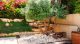 hortikultura.mk_maslinka_olea europaea_1